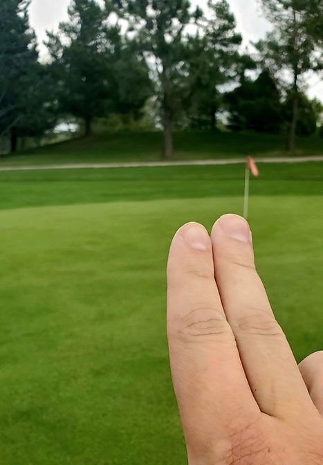 Putting: Integrating AimPoint